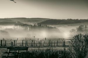 Brume matinale